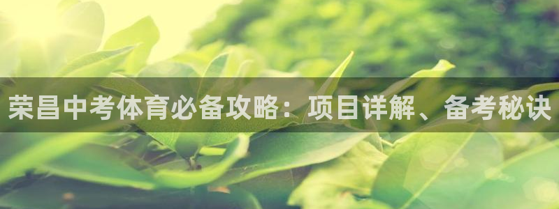 星欧娱乐游戏中心官网登录